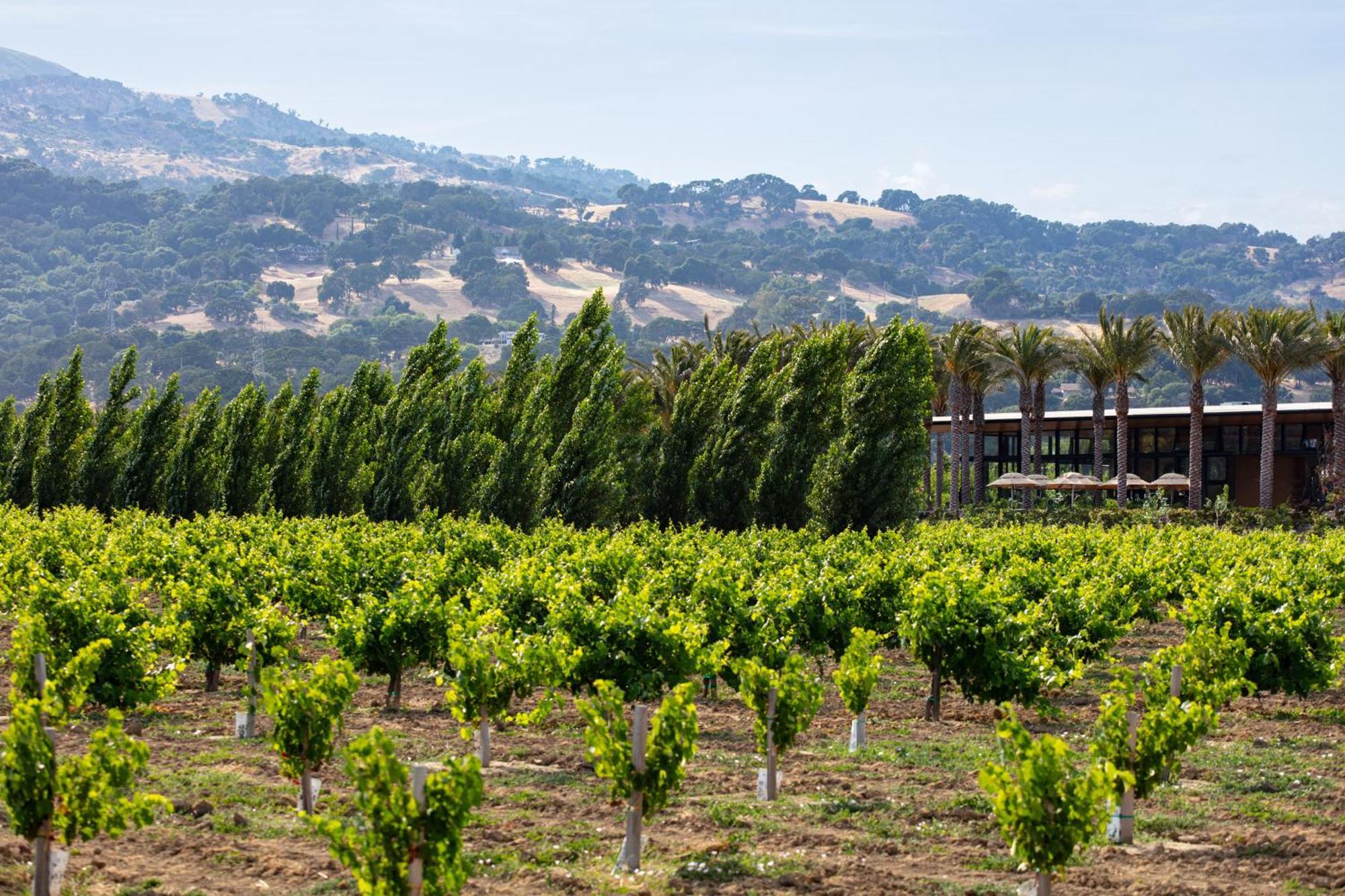 Homewood Suites By Hilton Fairfield-Napa Valley Area Cordelia Exterior foto